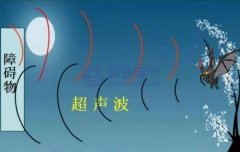 超声波的概念