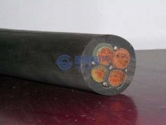 水树枝的定义
